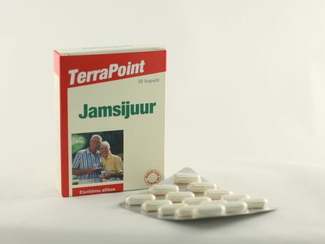 Terrapoint Jamsijuur Forte Caps N30